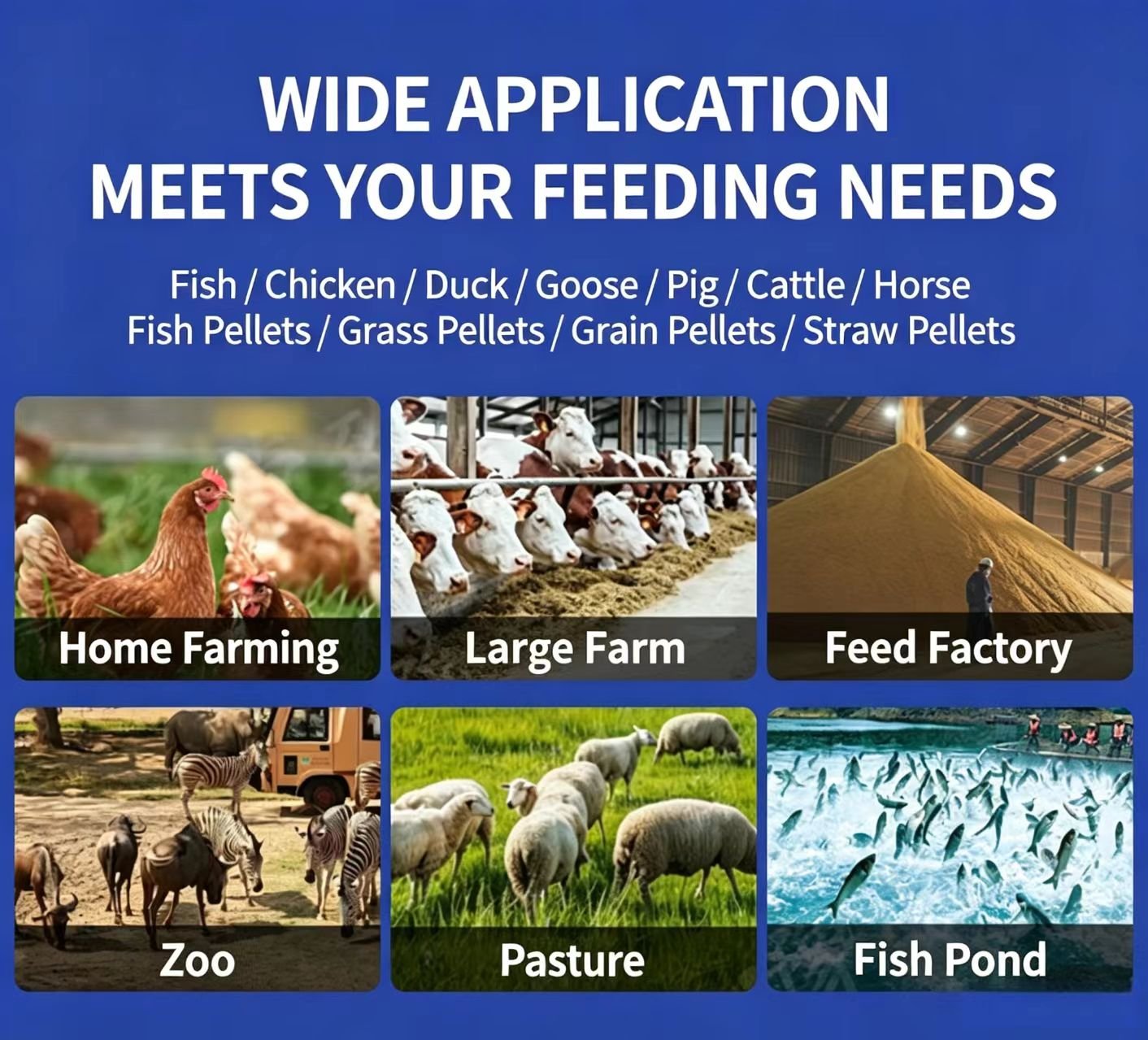 Sunto feed pellet machine application scenarios showing poultry farm, cattle ranch, sheep farm, rabbit farm and fish farm using homemade pellets