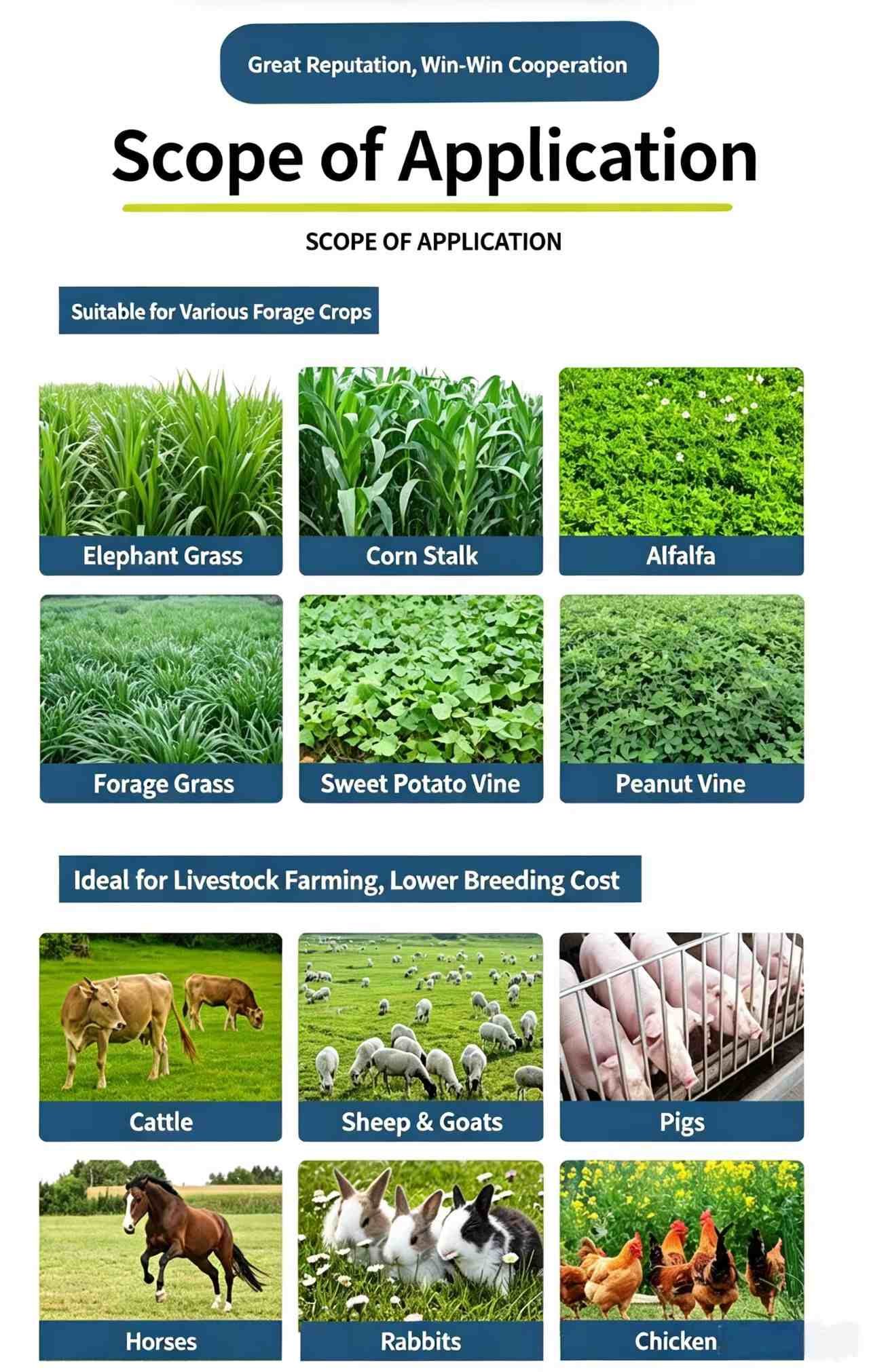 Round silage baler application scope showing corn stalks, elephant grass, alfalfa, hay and livestock cattle sheep pigs horses rabbits chickens