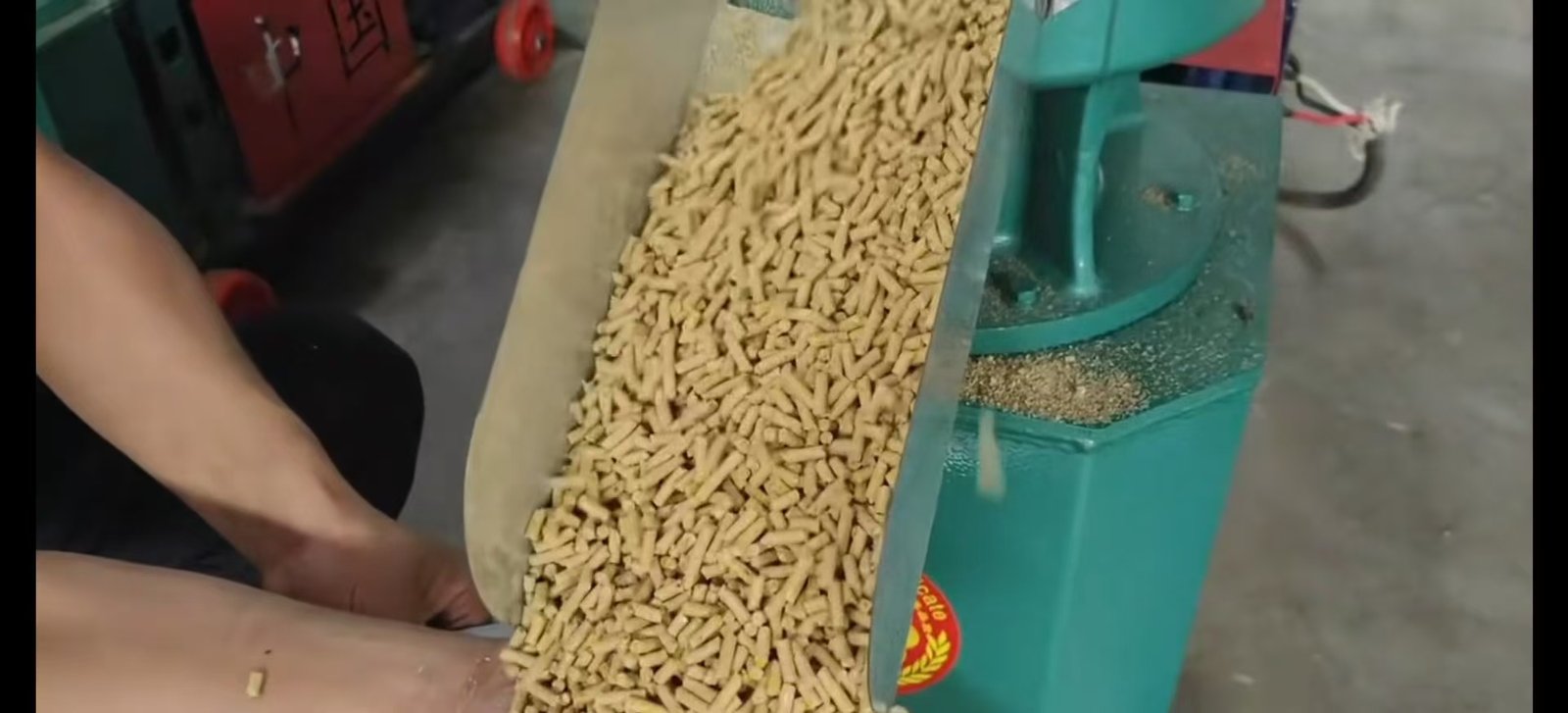 Fresh animal feed pellets discharging from a Sunto KLJ flat die feed pellet mill into a collection bag