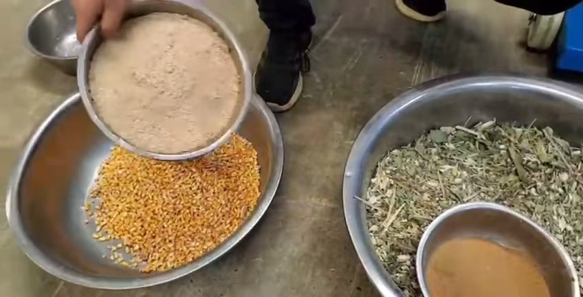 Raw feed ingredients — corn, bran, dried forage and mineral powder — ready for a feed pellet mill