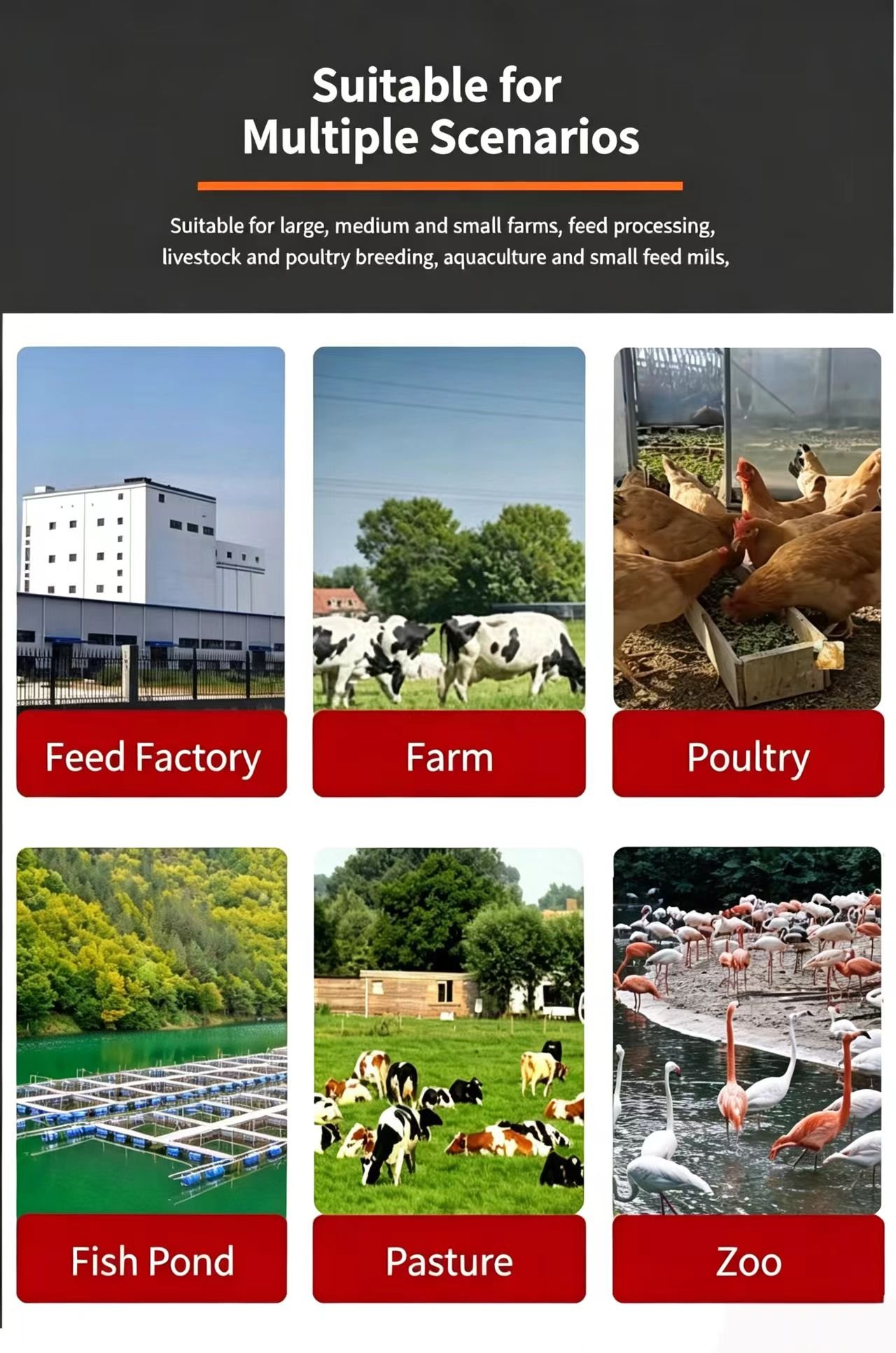 Sunto hammer mill suitable for feed factory, farm, poultry, fish pond, pasture and zoo scenarios