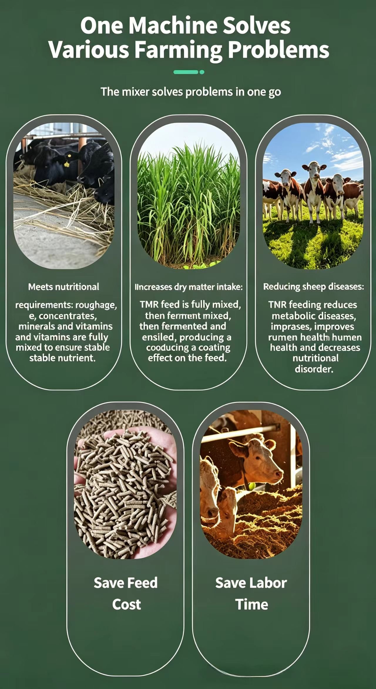 Sunto TMR feed mixer benefits for cattle, sheep and dairy farms including balanced nutrition, dry matter intake, disease reduction, feed cost savings and labor savings